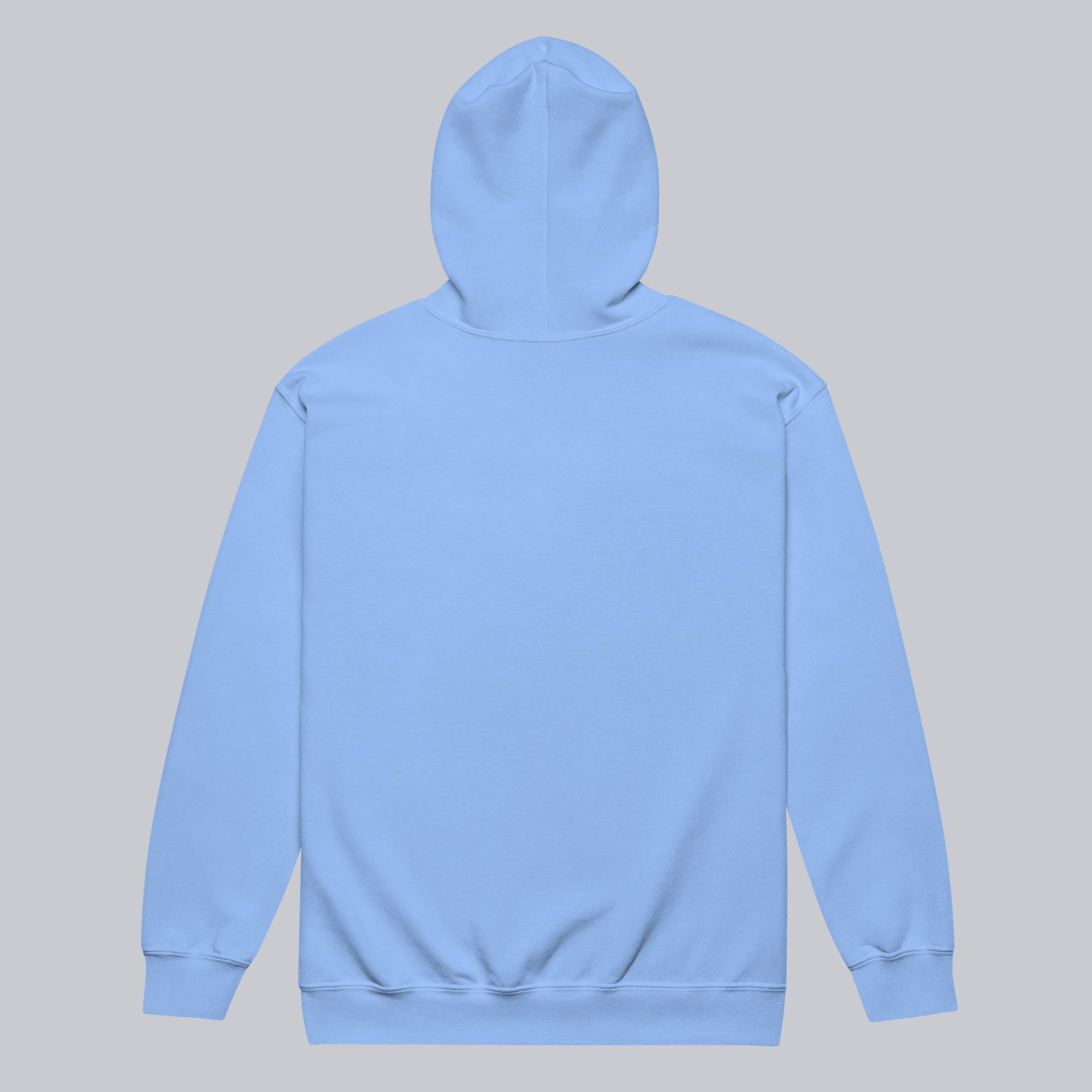 Baby Blue Zip Hoodie with custom Music Code
